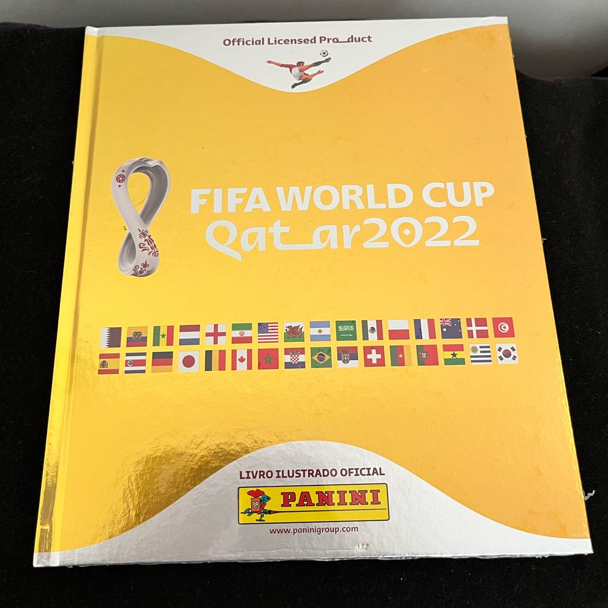 Lbum Dourada Copa Do Mundo Livro Panini Nunca Usado