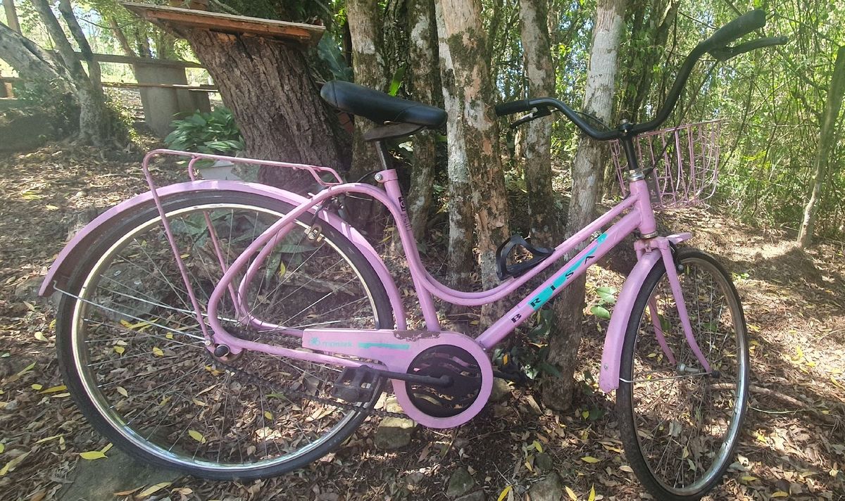 Bicicleta Monark Brisa Aro Rosa Usada Moda Esportiva Feminina