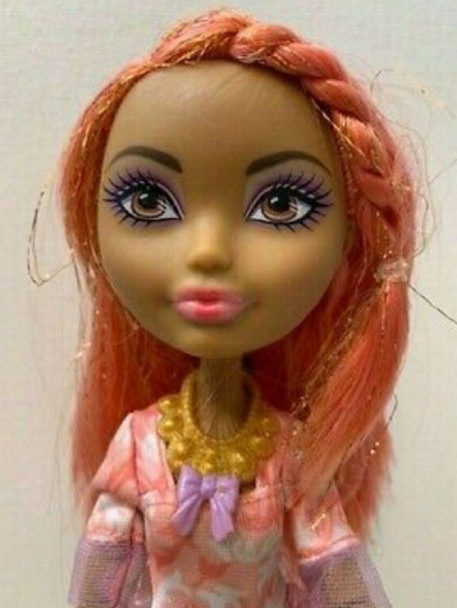 Boneca Ever After High Cedar Wood Brinquedo Mattel Usado 50412869