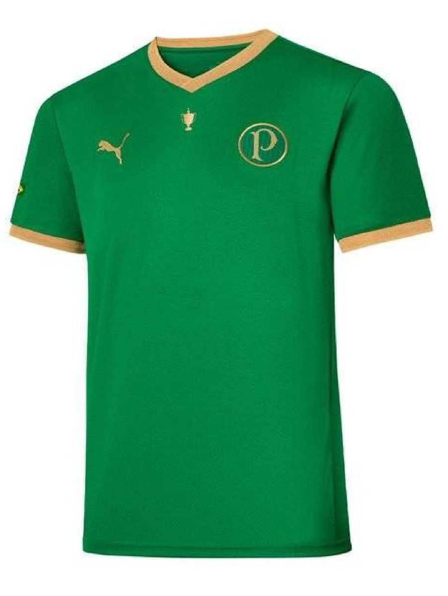 Camisa Do Palmeiras Comemorativa Mundial Roupa Esportiva Masculino