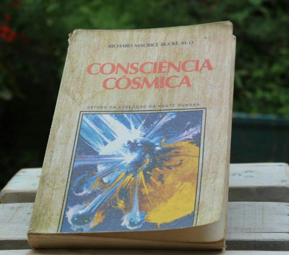 Livro Consci Ncia Cosmica Primeira Edi O Raridade Livro Renes