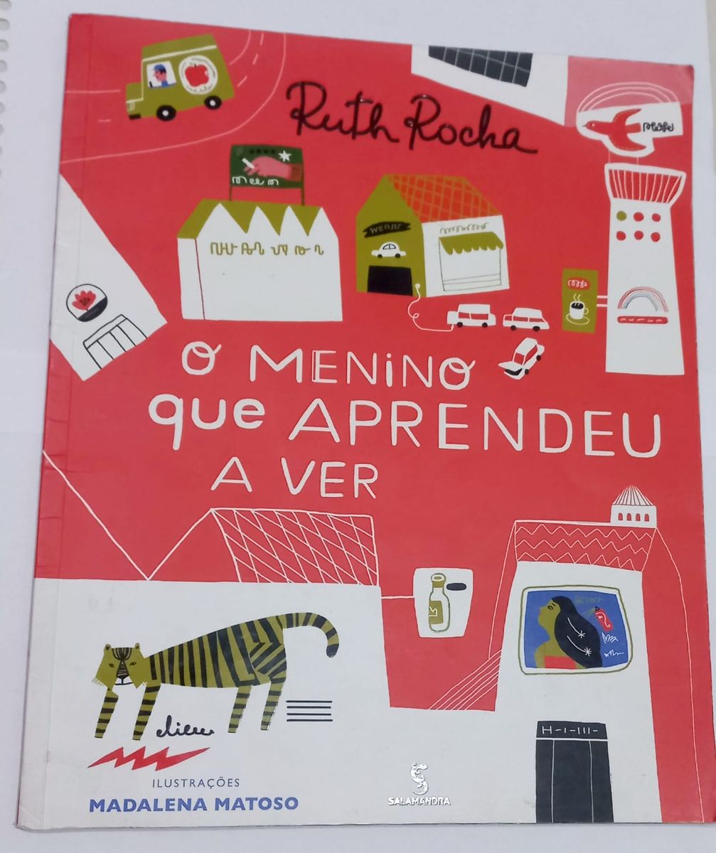 Livro O Menino Que Aprendeu A Ver Livro Editora Salamandra Usado