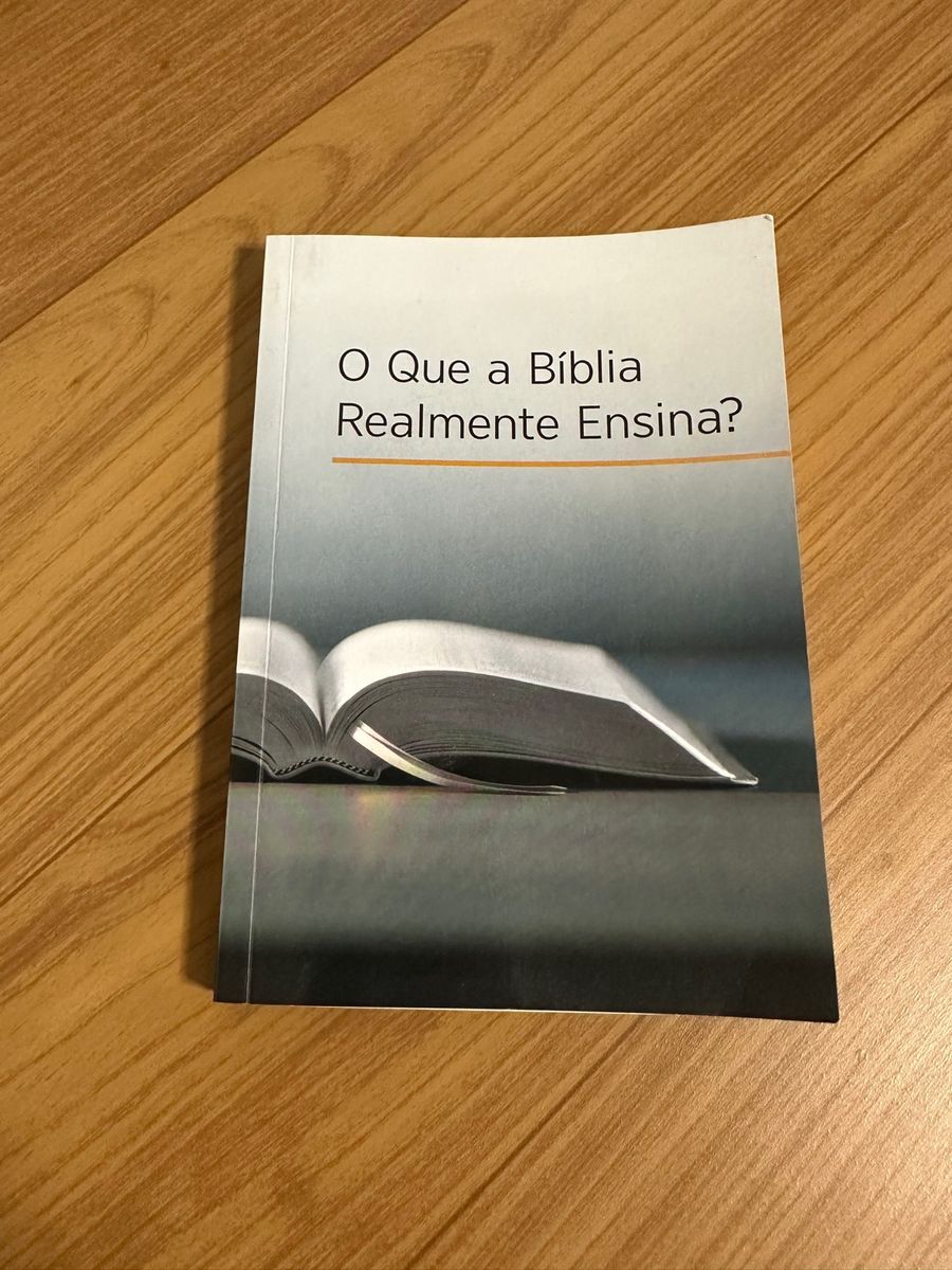 Livro O Que A B Blia Realmente Ensina Livro Usado Enjoei