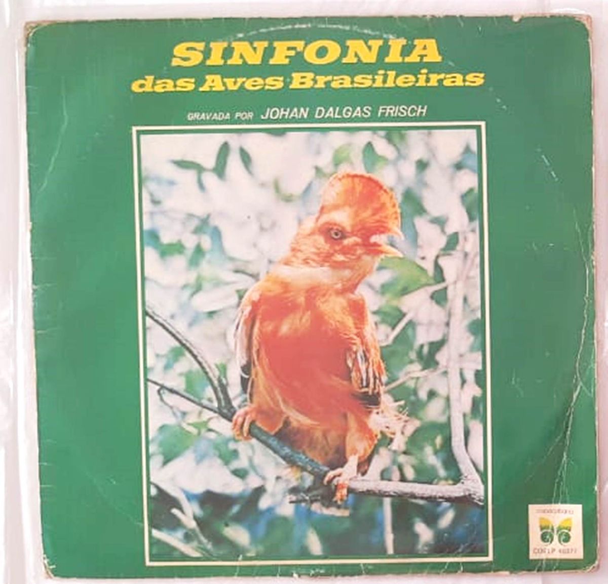 Lp Sinfonia Das Aves Brasileiras Original e Colecionável Móvel de