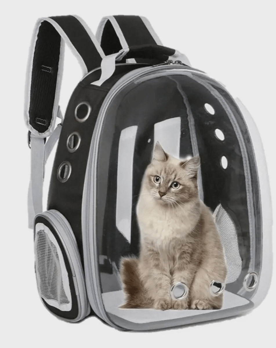 Mochila Gato Astronauta Pet Visão Panorâmica Item p Pet Nunca Usado