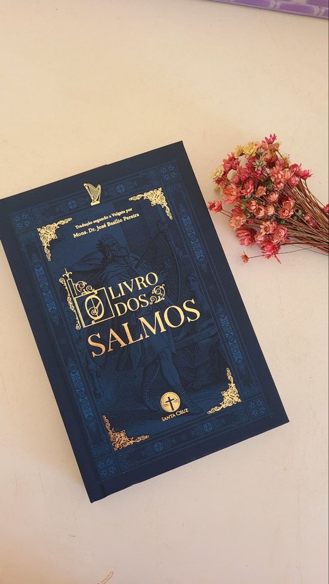 Novo Livro Dos Salmos Livro Editora Santa Cruz Nunca Usado 85359608