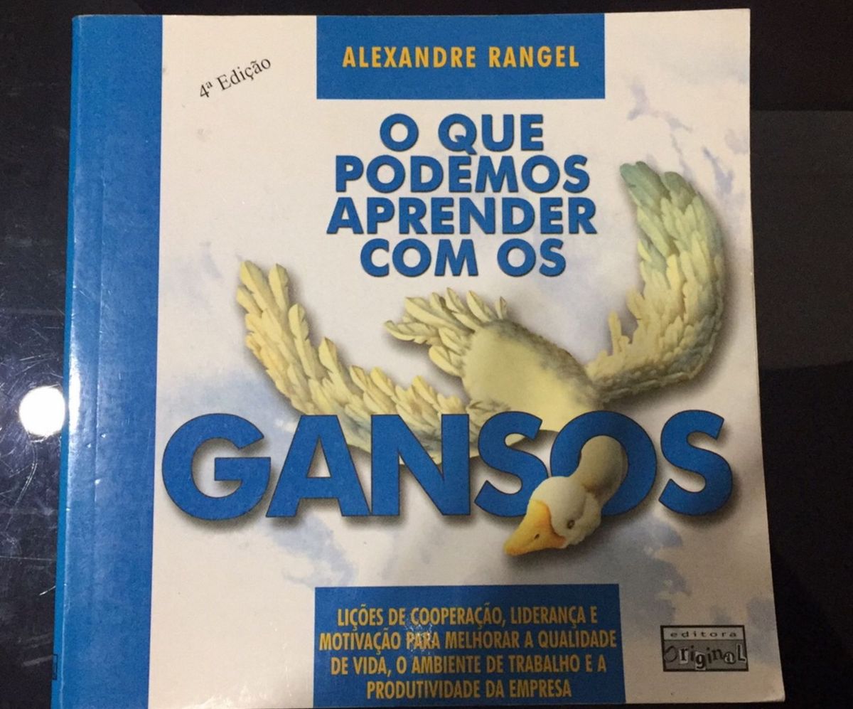 O Que Podemos Aprender Os Gansos Item De Papelaria Editora