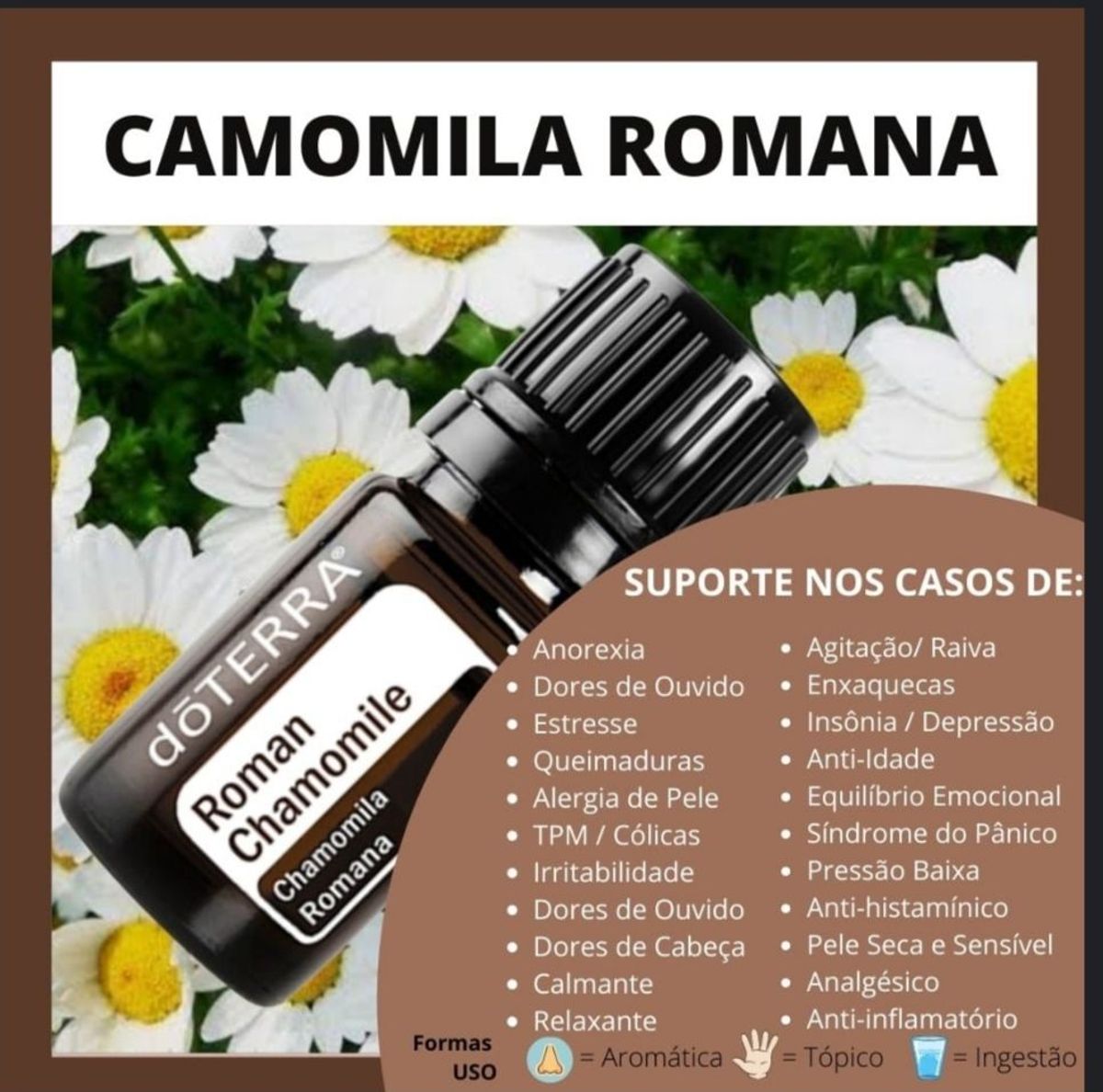 Óleo Essencial Camomile Romana 5 Ml Móvel p Casa Dõterra Nunca Usado