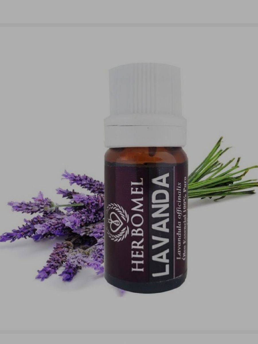 Óleo Essencial de Lavanda Francesa Alfazema 10ml 100 Puro Lavandula