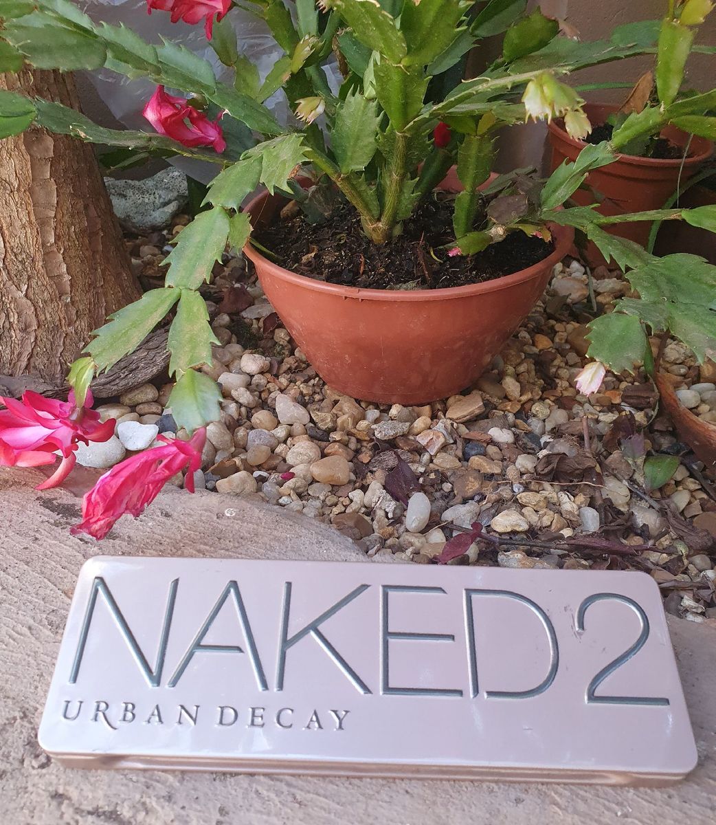 Paleta De Sombras Naked Maquiagem Feminina Urban Decay Usado