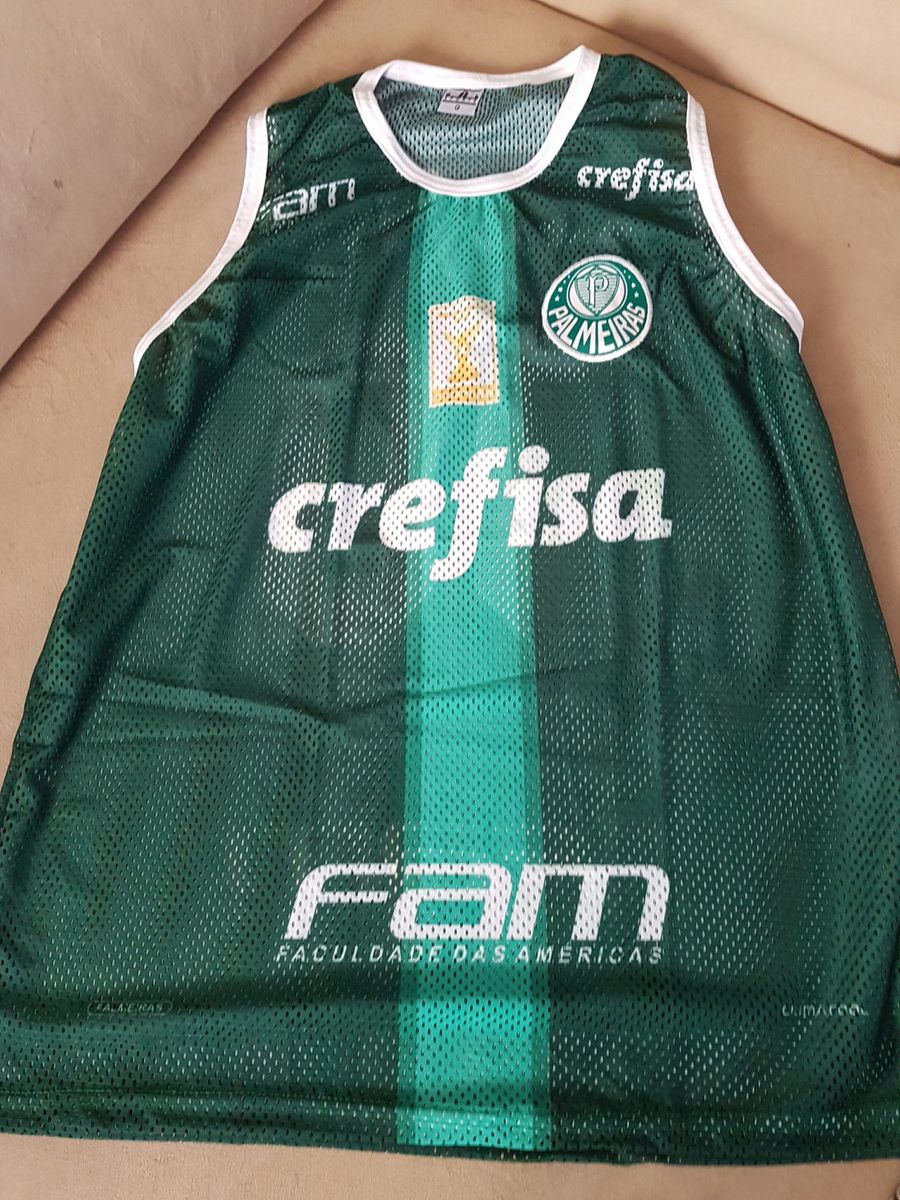 camisa do palmeiras regata