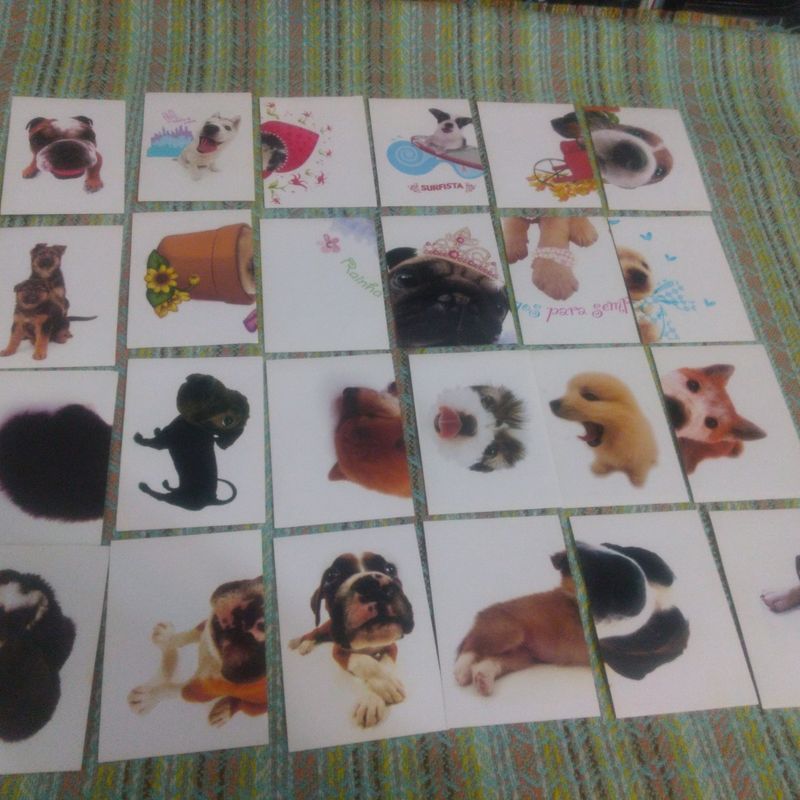 24 Figurinhas do Álbum The Dog - Artist Collection, Item Infantil Usado  95043716