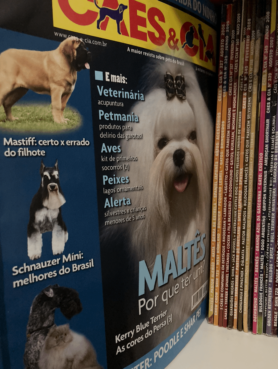 Dogue Alemão￼ - Revista Cães & Cia