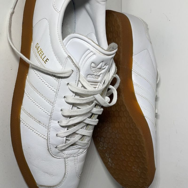 Gazelle branco 2024