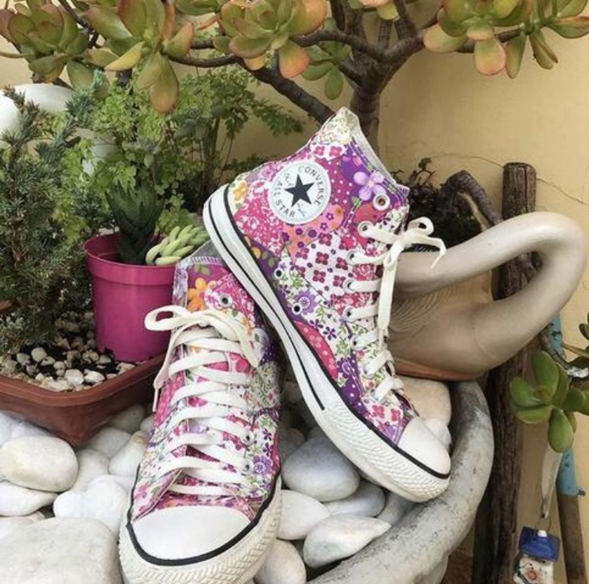 tenis all star florido