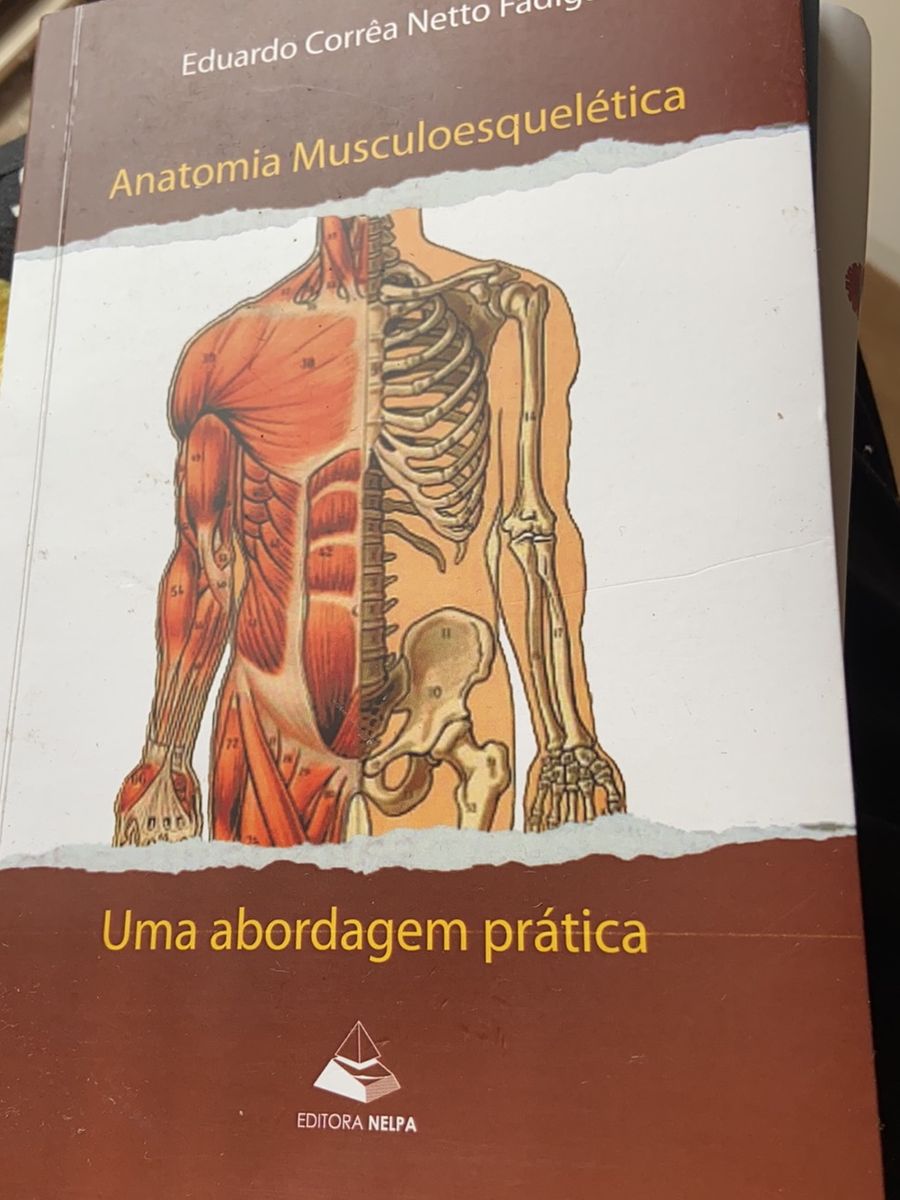 Ananda — Anatomia