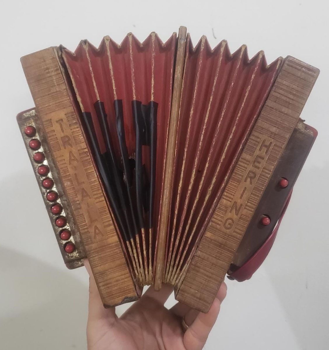 Antiga e Rara Sanfona Tralala Hering. Linda para Decoração E/ou ...
