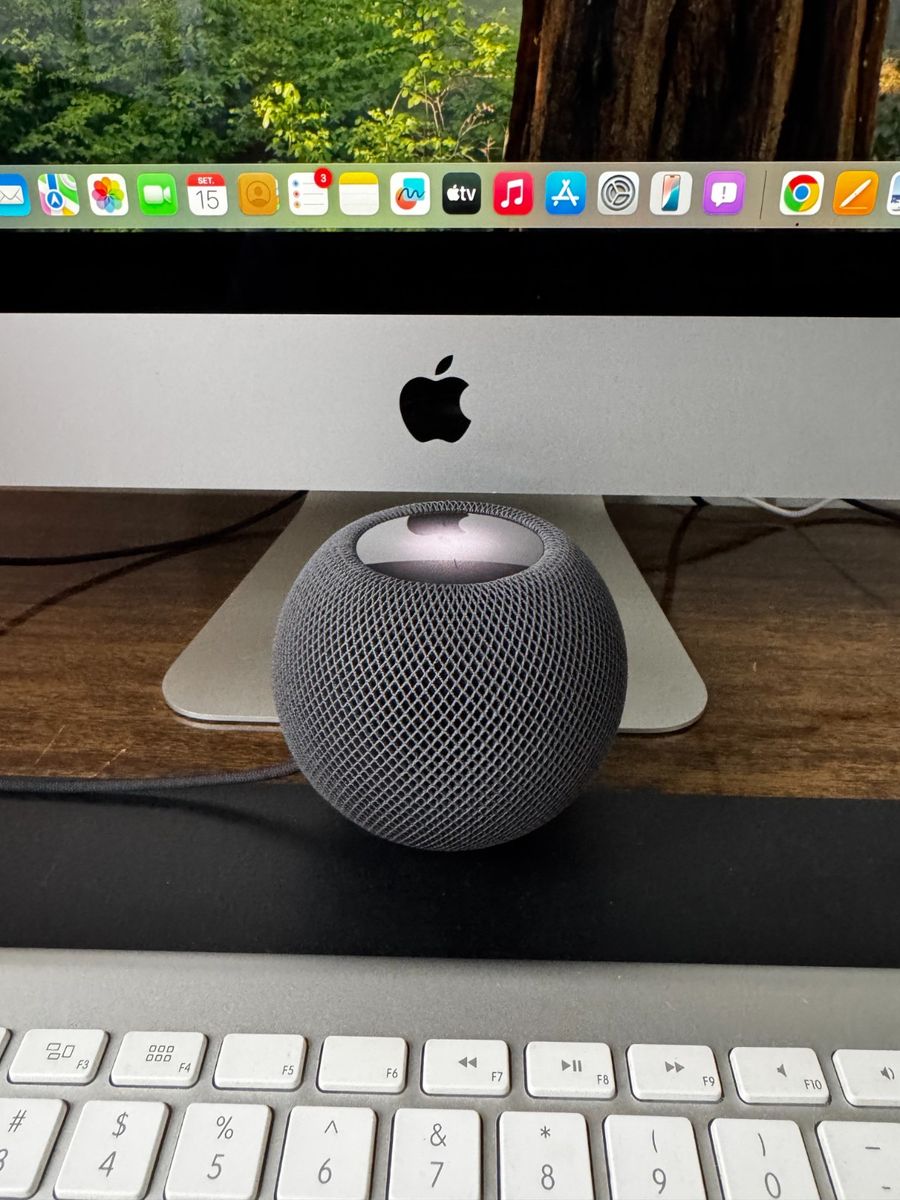 Apple Homepod Mini Space Gray A2374 Som Perfeito! com Siri