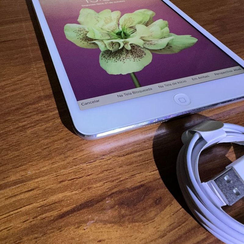 Apple Ipad Mini 3 16gb 3gb Ios 12.5.5 Wi-Fi Bluetooth Caneta