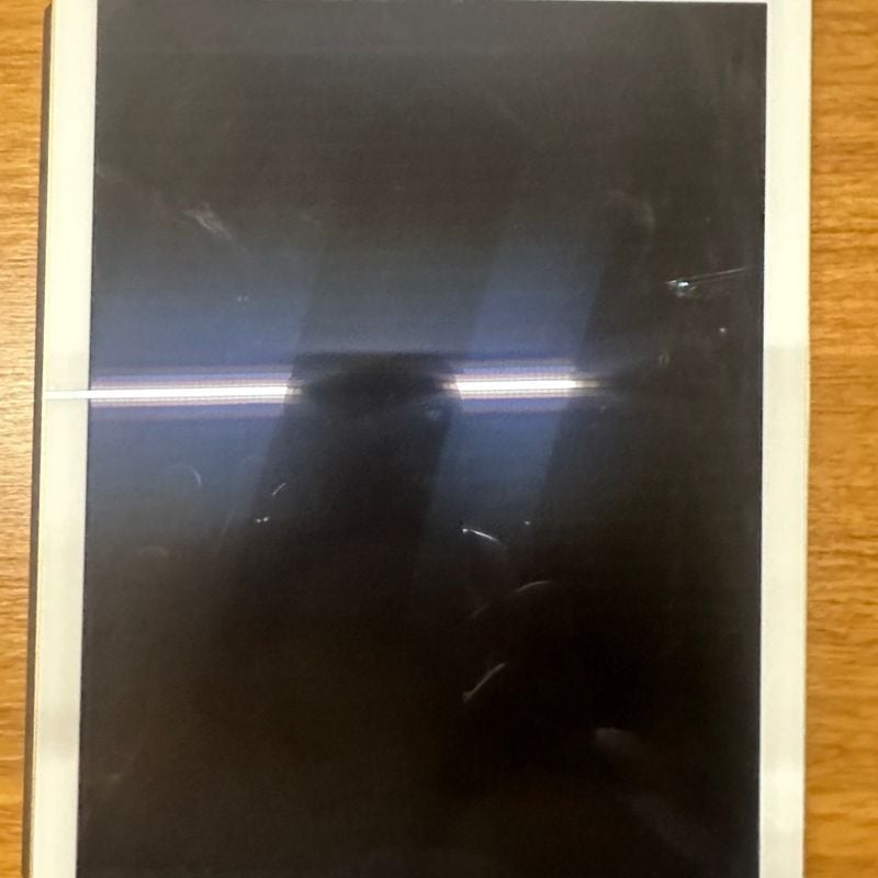 Apple Ipad Pro 256gb, Wi-Fi, 9.7in - Dourado | Apple Usado 88626910 | enjoei