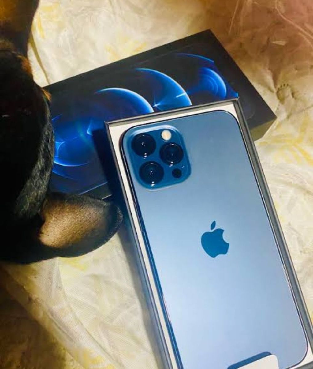iPhone 12 Pro Max reconditionné 128 Go, Bleu pacifique, SANS FACE ID, débloqué | Apple iPhone 12 Pro Max | The Kase
