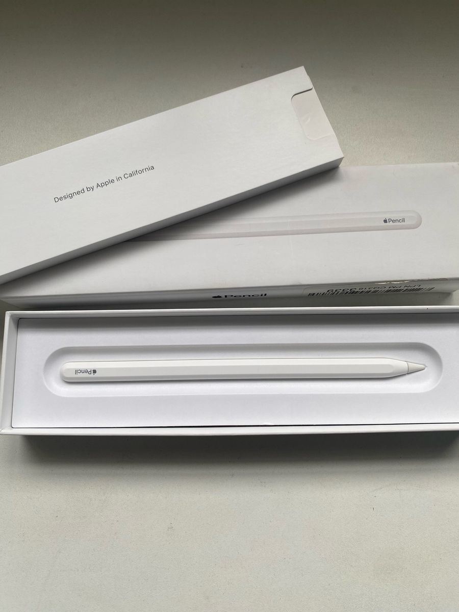 Apple Pencil (2.ª geração) : Amazon.com.br: Papelaria e