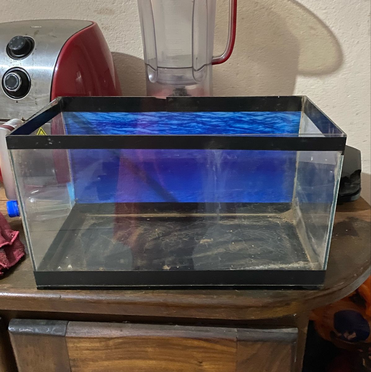 Aquário de 20 Litros Vidro Item p/ Pet Usado 78037448 enjoei