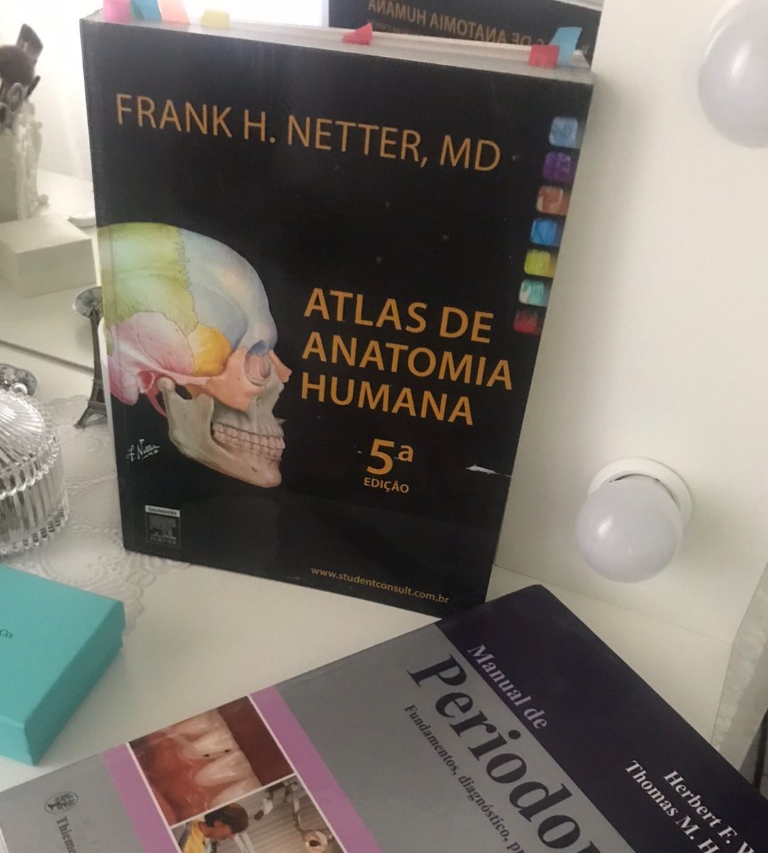 Atlas De Anatomia Humana Netter 5° Edição | Livro Netter Usado 38078151 ...