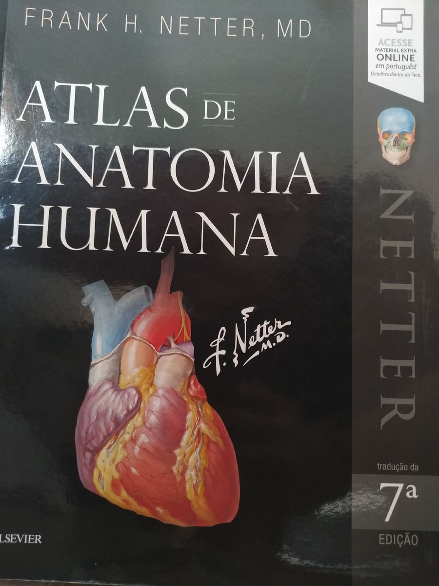 Atlas De Anatomia Humana Netter | Livro Editora Elsevier Usado 70448139 ...