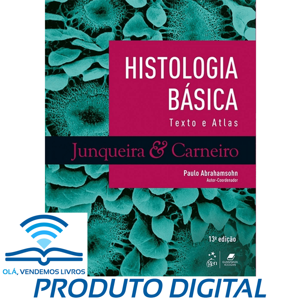 Baixar Junqueira e Carneiro Histologia Basica 13 Edição Texto e Atlas Download Pdf Livro Livro