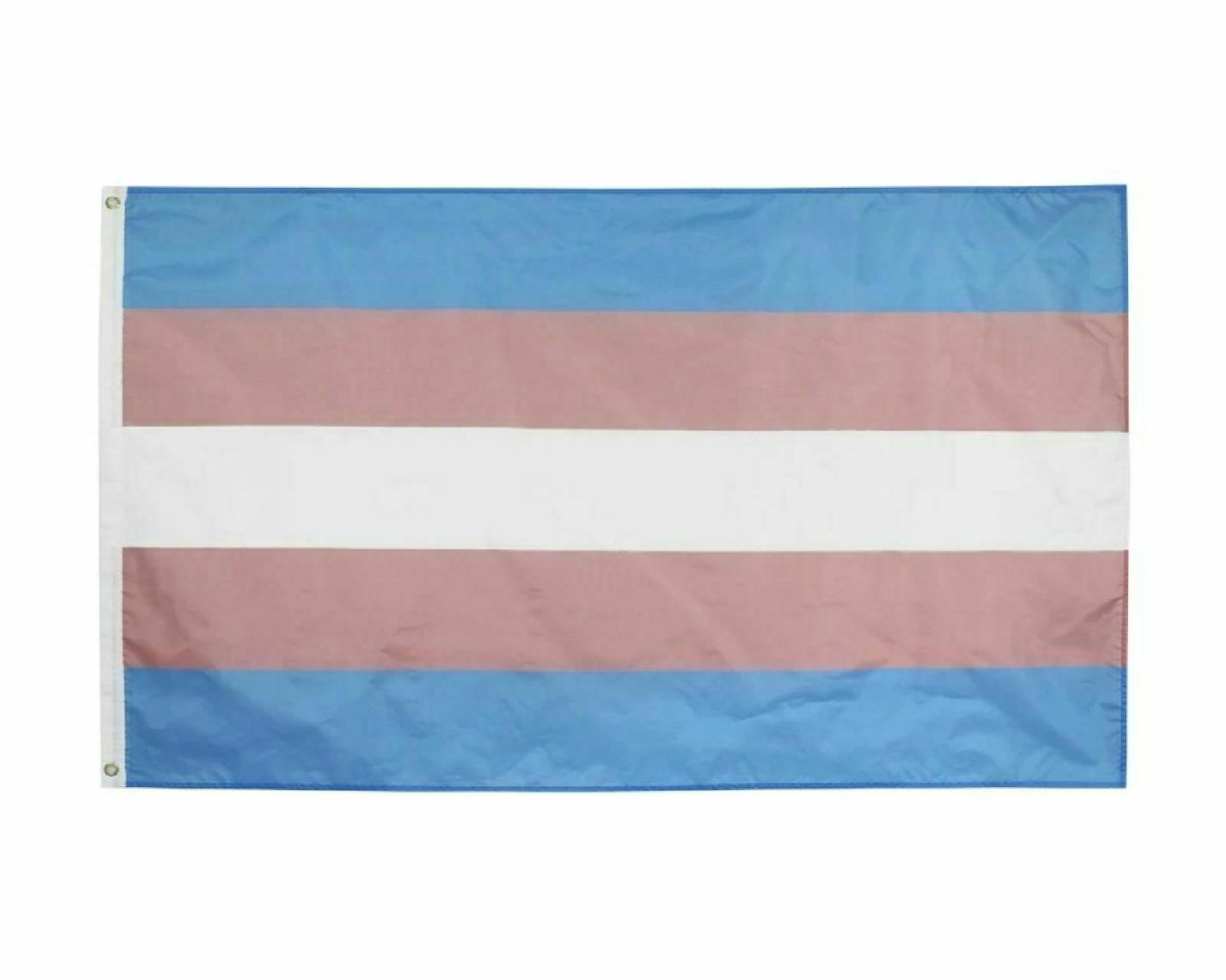 Bandeira Transexual 150x90cm Trans Lgbt | Item de ...