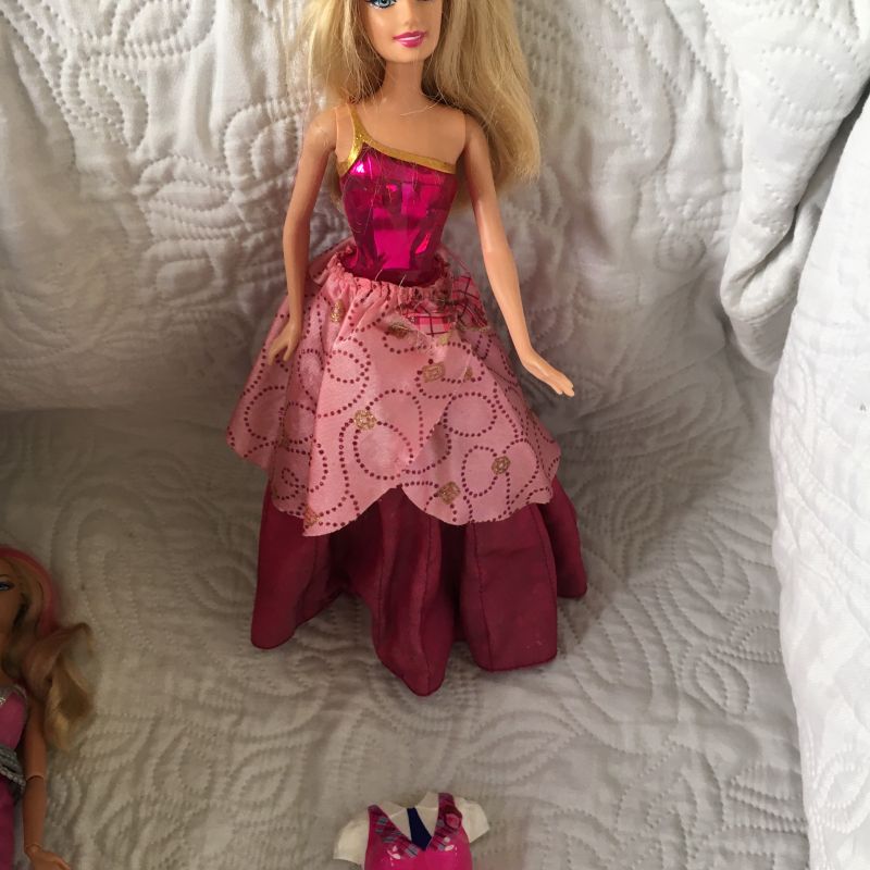 Barbie Escola De Princesas Blair - Artigos infantis - Santa Mônica,  Uberlândia 1252527876