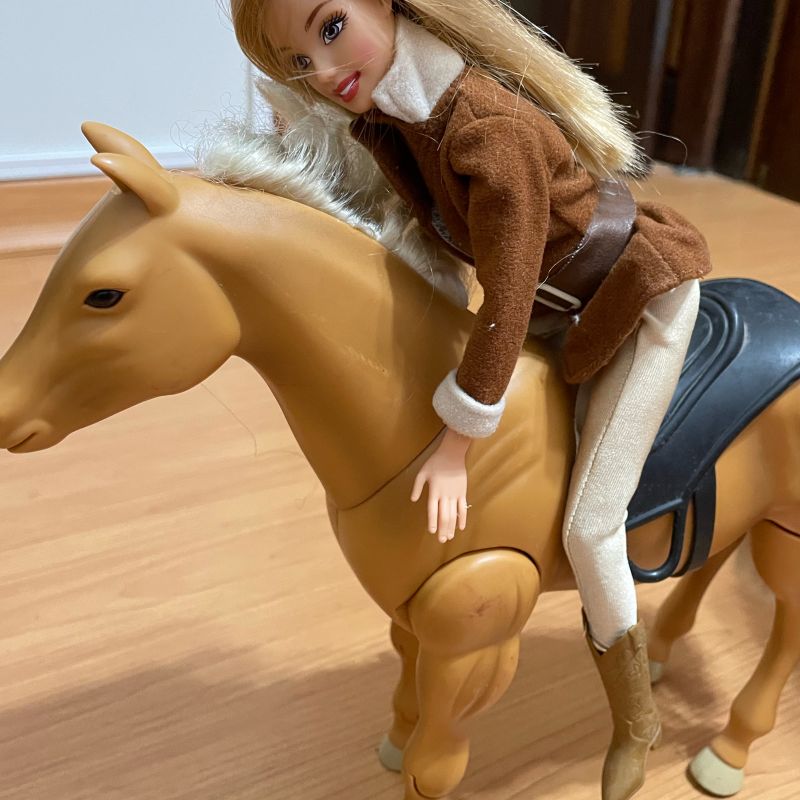 100 ideias de Barbie em cavalo  barbie, cavalo de brinquedo, cavalo da  barbie