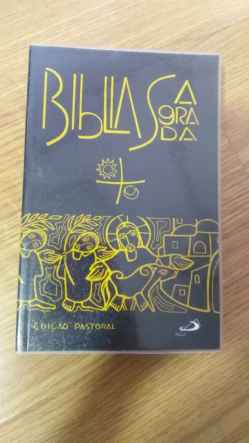 Bíblia Sagrada Edição Pastoral | Livro Paulus Usado 83173974 | Enjoei