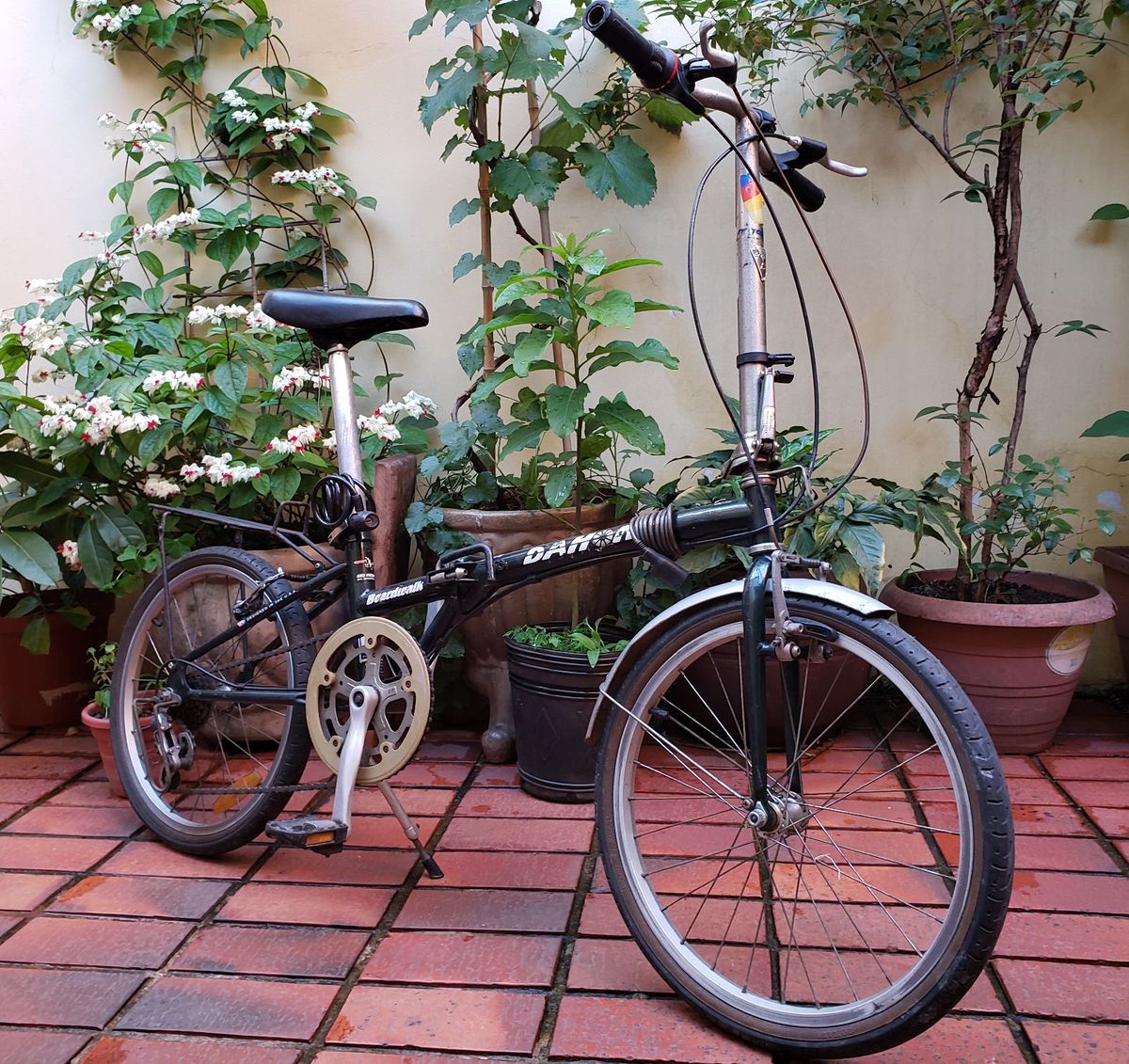 dahon olx