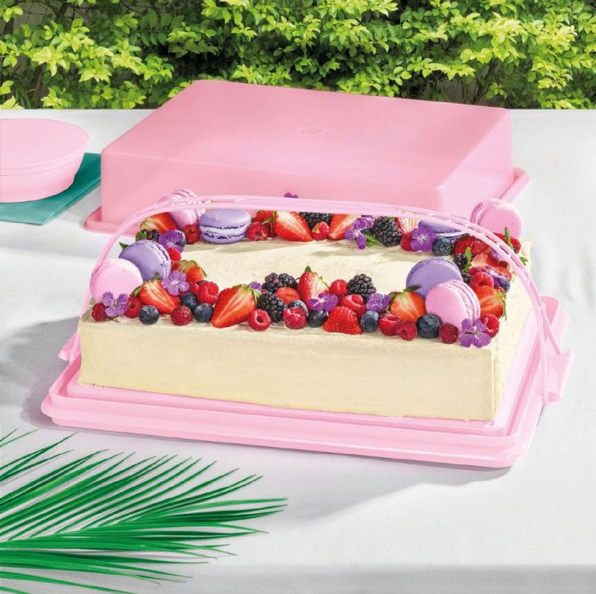 Tupperware Cake or Dessert Taker Rectangular Sheet Cake 