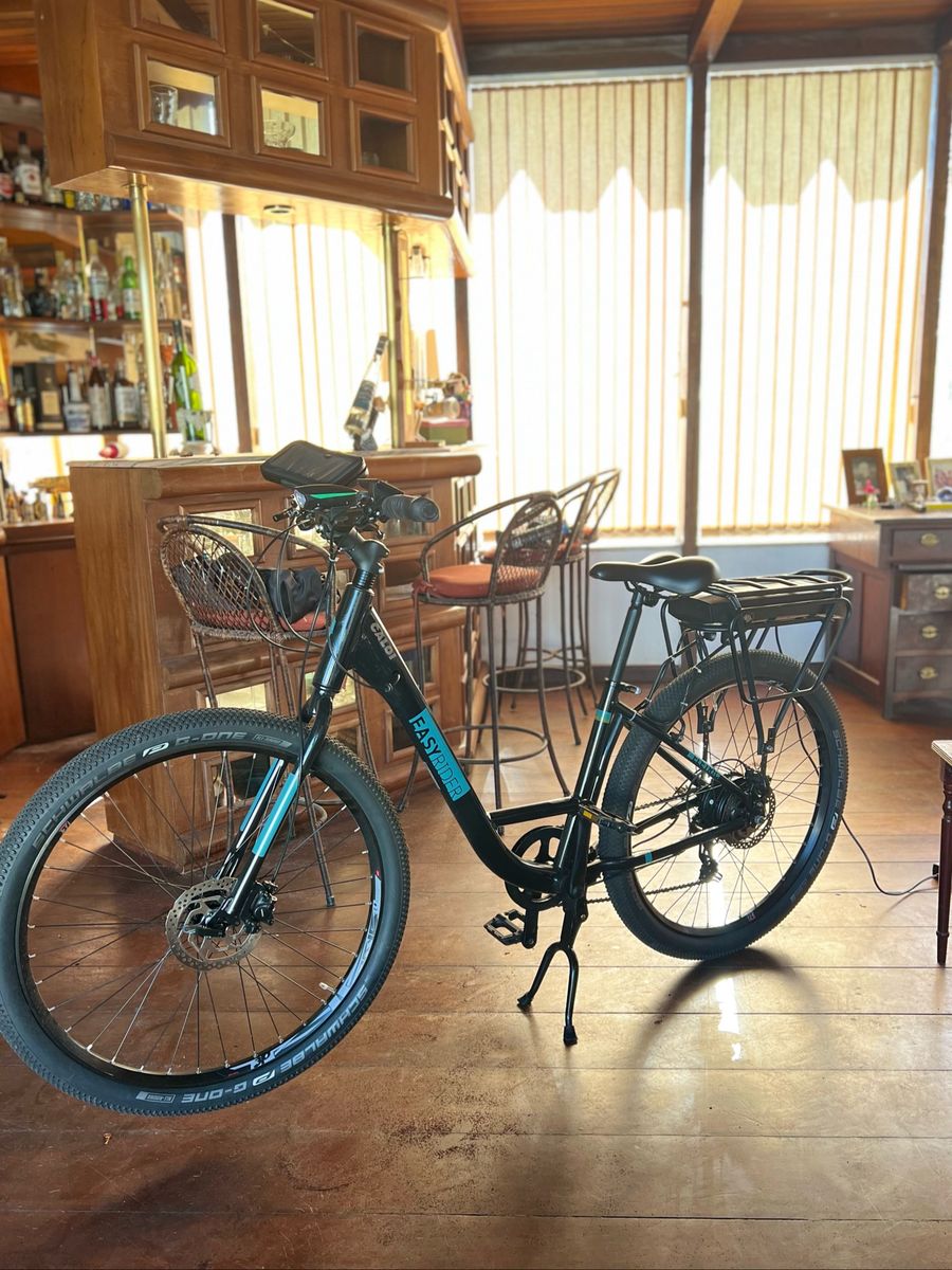 caloi evibe easy rider