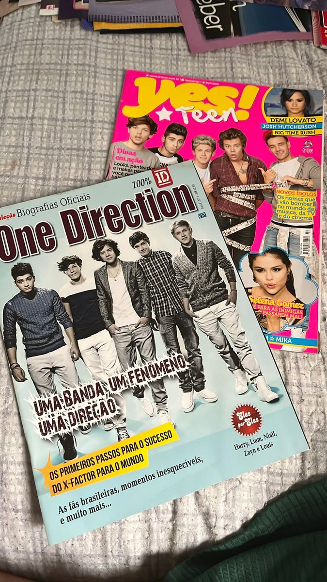 Biografias Oficiais One Direction + Yesteen 1d/selena Gomez/demi Lovato ...