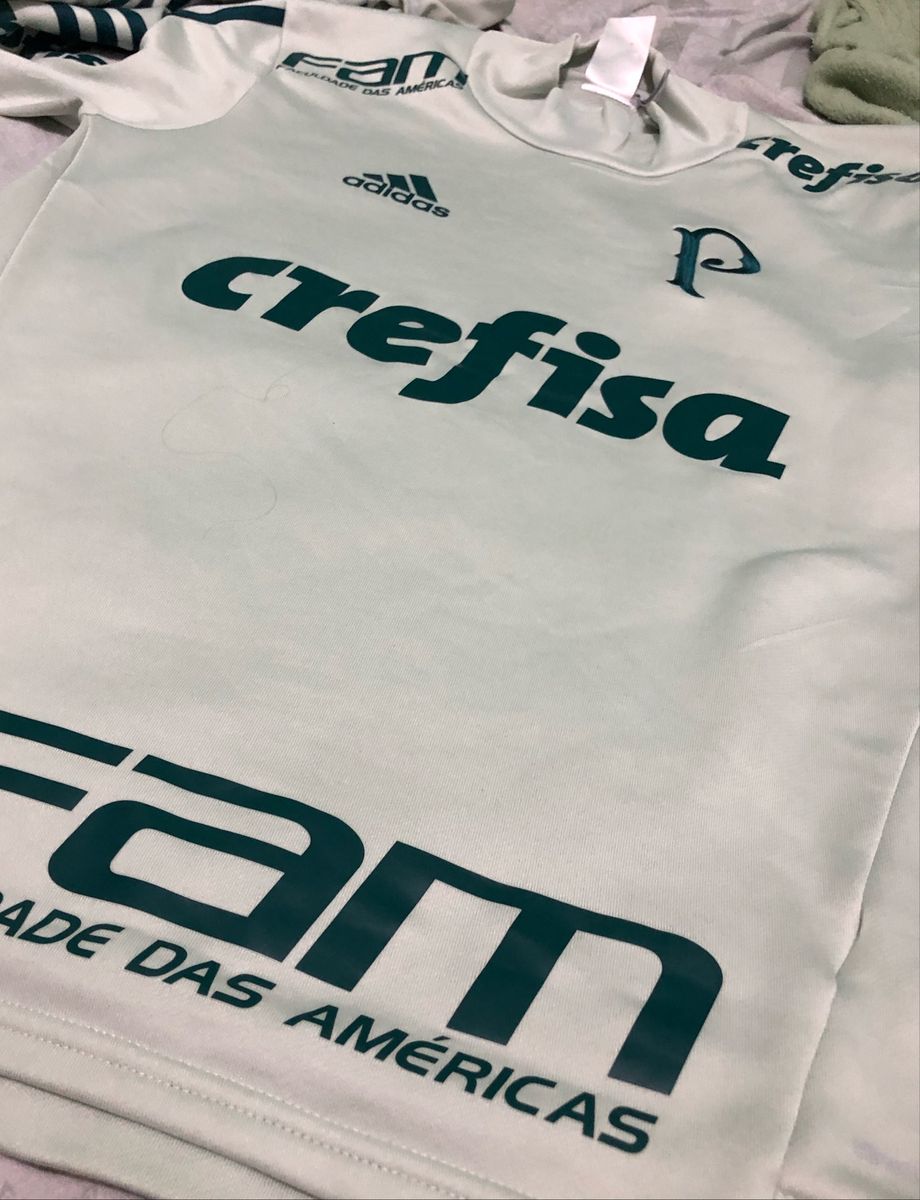 blusa de frio palmeiras masculina