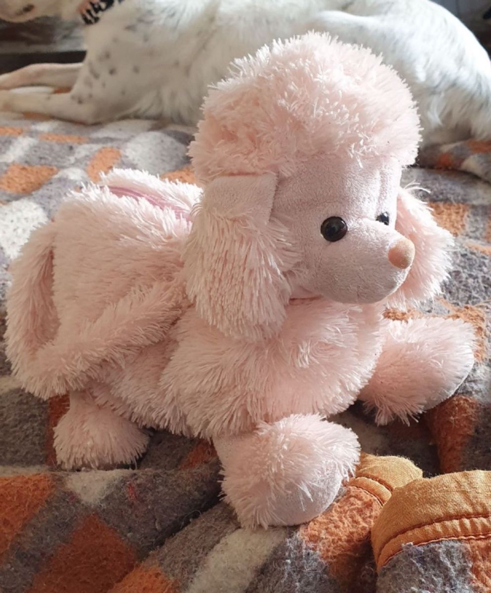 Bolsa de Cachorro Anos 2000 Rosa | Bolsa de mão Feminina Usado 73888230 ...