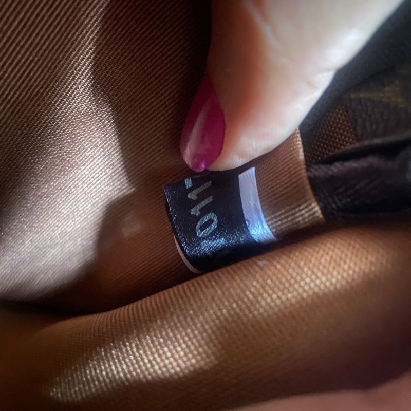 Alça Removível Louis Vuitton | Bolsa de mão Feminina Louis Vuitton Nunca  Usado 27841065 | enjoei
