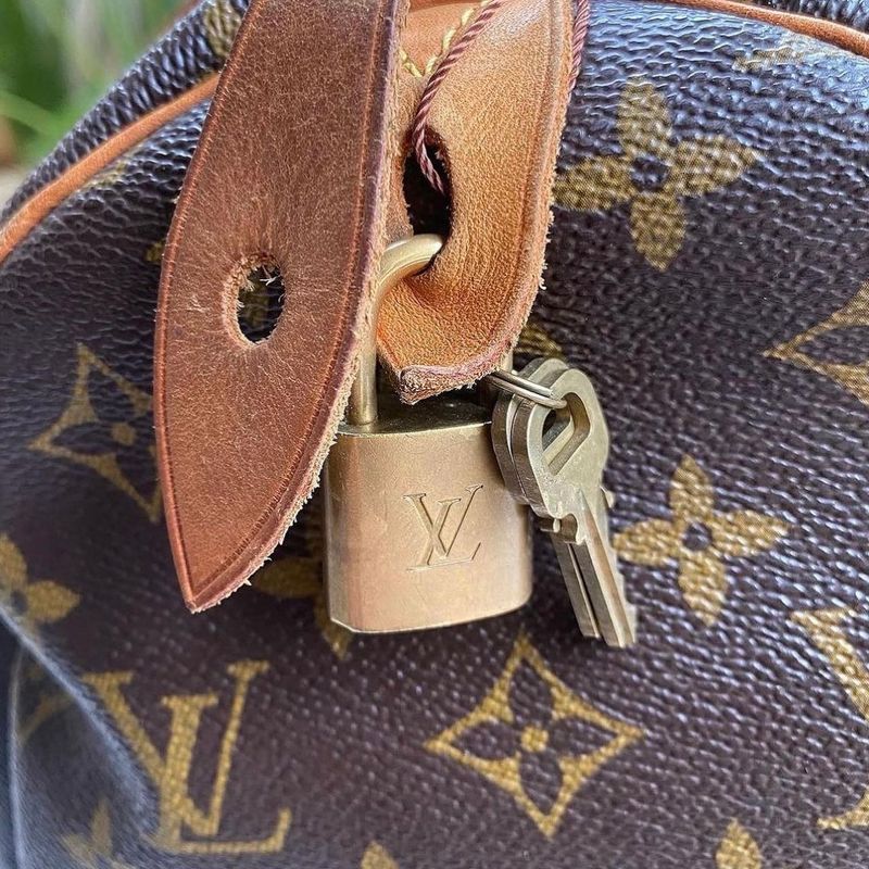 Bolsa Louis Vuitton Original | Bolsa de mão Feminina Louis Vuitton Usado  89373277 | enjoei