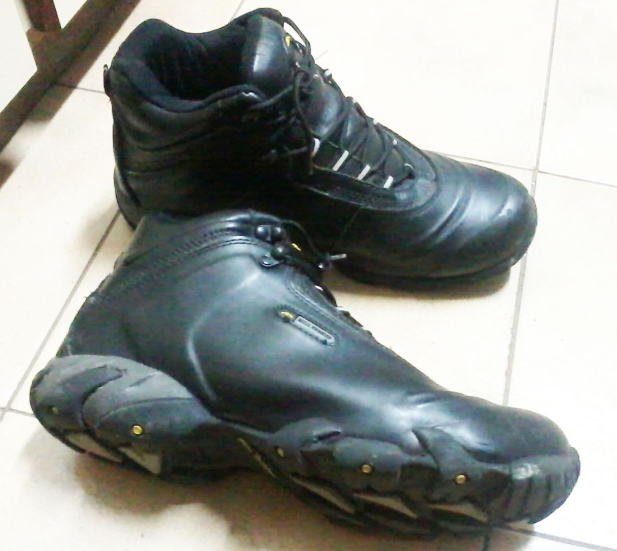 bota bull terrier ataque