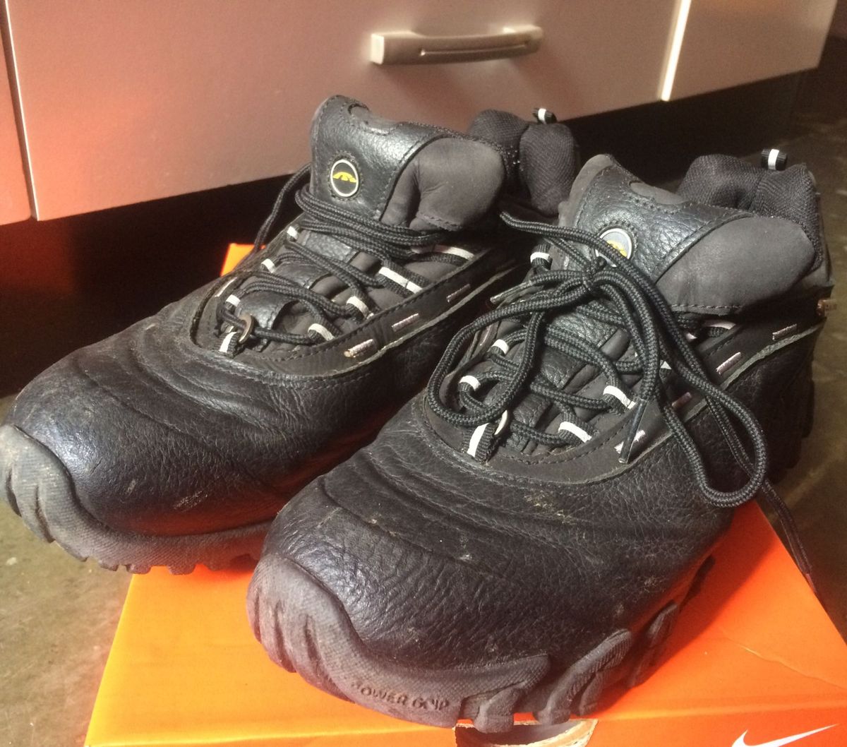 bota bull terrier axis