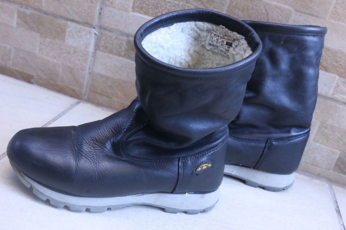 bull terrier snow trail