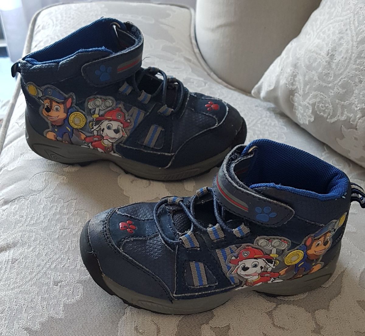 bota patrulha canina