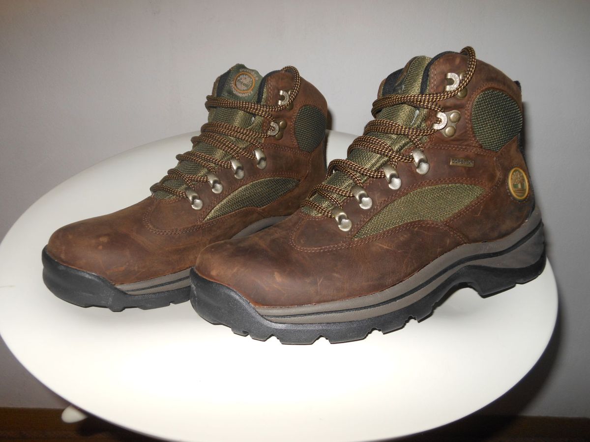 bota timberland chochorua trail gtx masculina