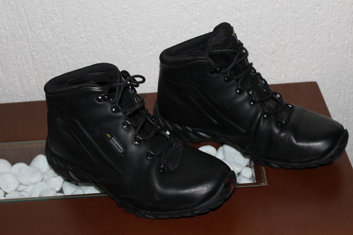 bull terrier botas preço