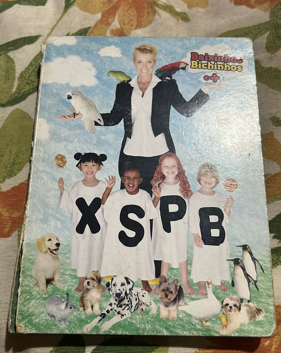 Box Dvd e Cd Xuxa Xspb 10 Baixinhos Bichinhos e + | Dvd Usado