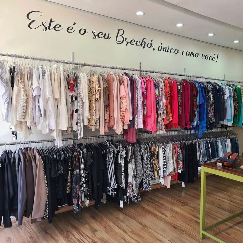 lote de 50 peças de roupa feminina para brechó